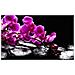 Fotomurale - Momento Di Relax: Un'orchidea E Pietre Zen 450x270 Cm - Foto miniatura 3