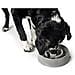 Ciotola Per Cani Hunter Melammina 550 Ml - Foto miniatura 4