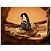890101-0400 cuffia e auricolare Wireless A Padiglione Musica e Chiamate Bluetooth Nero, Oro - Foto miniatura 9