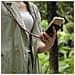 Catena Di Telefoni Cellulari Compatibile Con Apple Iphone 7 / 7s / 8 / Se 2020 In Rosso Giallo Bianco - Coperchio Protettivo In Silicone Con Anelli D'argento, Cinturino In Corda E Custodia Staccabile - Foto miniatura 4
