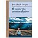 Jean-Claude Lavigne - Il momento contemplativo - Foto miniatura 2