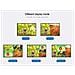Premiumcord Hdmi 4x1 Quad Multi Viewer Con Telecomando Alimentatore E Di Retealloggiamento Il Video Metallorisoluzione In Full Hd 1080p 60hzhdcpcolore Argento - Foto miniatura 2