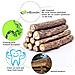Cat Catnip Sticks 100 Organici Naturali Matatabi Dentali Tratta Digrignamento Dei Denti Giocattoli Di Masticazione Olfattivo Di Arricchimento Per Il Gatto Confezione Da 30 Pezzi - Foto miniatura 2