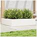 Fioriera Da Giardino Bianca 100x100x23 Cm Legno Massello Pino - Foto miniatura 1