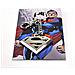 Superman Metal Key Ring Logo - Foto miniatura 1