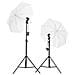 Kit Per Studio Fotografico Con Set Di Luci E Fondale - Foto miniatura 2