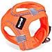 Imbracatura Per Cani Air Mesh Trek Star Regolabile Arancio Taglia Xxxs (18-20 Cm) - Foto miniatura 1
