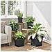 Vaso quadrato per fiori 24 pcs Nero 28,5 x 28,5 x 22 cm - Foto miniatura 4