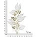 Decorazione In Metallo 3d Fiori 32-multicolore-metallo-52,7x5,7x90,8 Cm - Foto miniatura 6