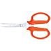 Forbici Per Fiorai 19,5 Pz. 12 - Foto miniatura 1