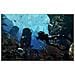 Call Of Duty Ghosts [ edizione: Regno Unito] - Foto miniatura 5