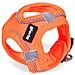 Imbracatura Per Cani Trek Star 27-28 Cm 31-34,6 Cm Arancio Xs - Foto miniatura 6