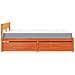 Letto Cassetti e Materasso Marrone Cera 120x200cm Massello Pino - Foto miniatura 5