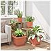 Vaso quadrato per fiori 24 pcs Rosso Mattone 33 x 33 x 26 cm - Foto miniatura 4