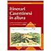 Francesco Pasetto - Itinerari casentinesi in altura. Guida escursionistica e storica - Foto miniatura 1