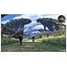 SWITCH - Xenoblade Chronicles: Definitive Edition - Foto miniatura 2