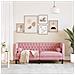 Divano Chesterfield Con Rinforzi 2 Posti Rosa In Velluto - Foto miniatura 3
