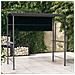 Gazebo Con Tetto 220x110x200 Cm Antracite - Foto miniatura 1