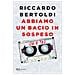 Riccardo Bertoldi - Abbiamo Un Bacio In Sospeso (io E Te)  - Foto miniatura 2