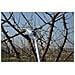 220 Due Mano Pruner, Argento, 119,4 x 16,5 x 6,3 cm, 06257 - Foto miniatura 2
