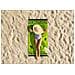 Telo Mare Grande 100x180 Spugna Spiaggia Piscina Maui Big Geko D11 Telo Mare Verde - Foto miniatura 4