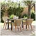 Set pranzo giardino 5 pezzi in rattan polietilene beige - Foto miniatura 2