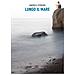 Andrea Ferrari - Lungo il mare - Foto miniatura 1