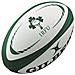 Pallone Da Rugby Replica - Irlanda - Foto miniatura 1