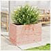 Fioriera Da Giardino 70x40x45,5 Cm In Legno Massello Di Douglas - Foto miniatura 3