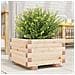 Fioriera Da Giardino 40x40x26,5 Cm In Legno Massello Di Pino - Foto miniatura 1