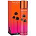 Profumo Unisex Sunrise Edt (100 Ml) - Foto miniatura 3