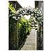 6040802 Arco Da Giardino In Metallo Nero - Foto miniatura 4