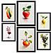 Set Di 6 Stampe Poster Di Frutta, Verdura E Cibi Sani Vivaci In Acquerello Su Bianco Puro A3 & A4 Cornice Nera - Foto miniatura 1