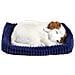 Jack Russell 96347 - Foto miniatura 1