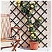 Lattice Nortene Trelliflex 1 X 2 M Verde Pvc - Foto miniatura 2