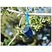 Speaker Portatile XB12 Wireless Bluetooth con Extra Bass Colore Blu - Foto miniatura 6