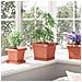 Vaso quadrato per fiori 24 pcs Rosso Mattone 23 x 23 x 17,5 cm - Foto miniatura 4