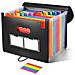 Cartella Portadocumenti Espandibile Con 13 Tasche, Cartella A Fisarmonica Arcobaleno Con Chiusura Di Sicurezza Con Cordino - Foto miniatura 1