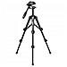 10174 treppiede - Foto miniatura 4