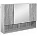 Set di mobili per il bagno 5 pcs Grigio sonoma 30 x 35 x 192 cm - Foto miniatura 6