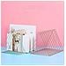 Libreria In Ferro Stile Nordico - Porta Libri Minimalista In Metallo Per Ufficio E Casa Pinkgold - Foto miniatura 3