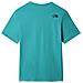 T-shirt Da Uomo Easy Verde Taglia S Cod 2tx3-2kq - Foto miniatura 2