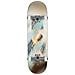 G1 Stack 8.25"" Complete Skateboard Daydream - Foto miniatura 1