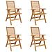 Sedie da Giardino  Pieghevoli 4 pcs in Legno Massello di Teak, Sedie da Giardino  2 pcs in Legno Massello di Teak - Foto miniatura 1