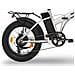 BK-FM03E-S bicicletta elettrica Nero, Argento Alluminio 17 50,8 cm (20") 28 kg - Foto miniatura 7