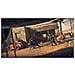 Gioco Di Batman Arkham Collection Ps4 - Foto miniatura 3