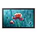 QB13C 33 cm (13") LCD Wi-Fi 500 cd /m² Full HD Nero 16/7 - Foto miniatura 1