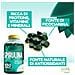 Spirulina 500 mg 650 Compresse - Alga Spirulina in Compresse - Azione di Sostegno e Ricostituente (Confezione doppia) - Foto miniatura 4