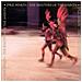 Paul Simon - The Rhythm Of The Saints - Foto miniatura 1