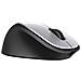 Mouse Envy 500 Laser 2 Tasti 1600 DPI Colore Nero / Grigio - Foto miniatura 3